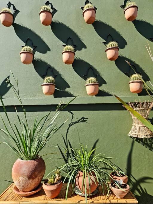 Riad Olive Privatif 4 Personnes Hotel Marrakesh Exterior foto