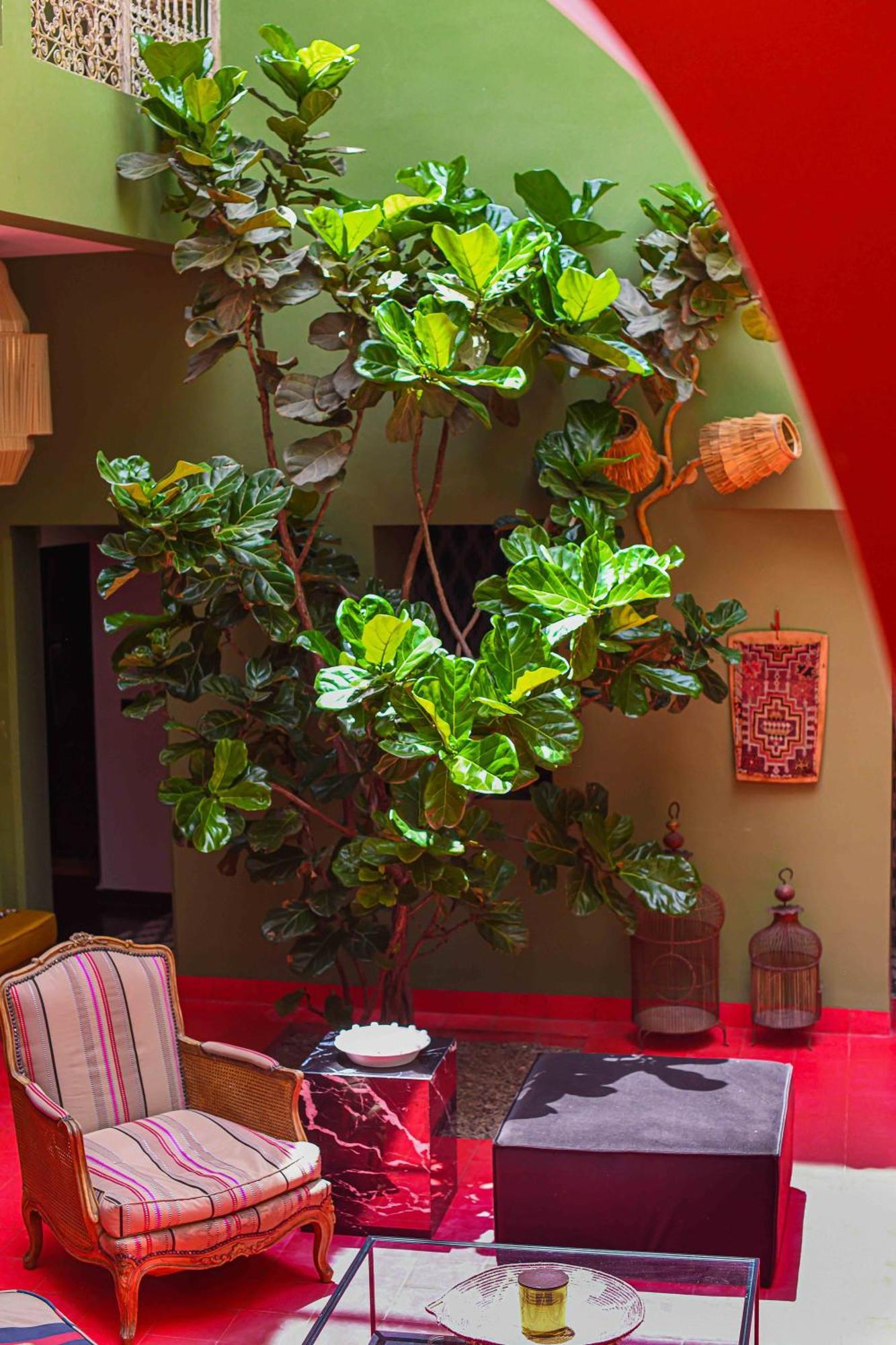 Riad Olive Privatif 4 Personnes Hotel Marrakesh Exterior foto