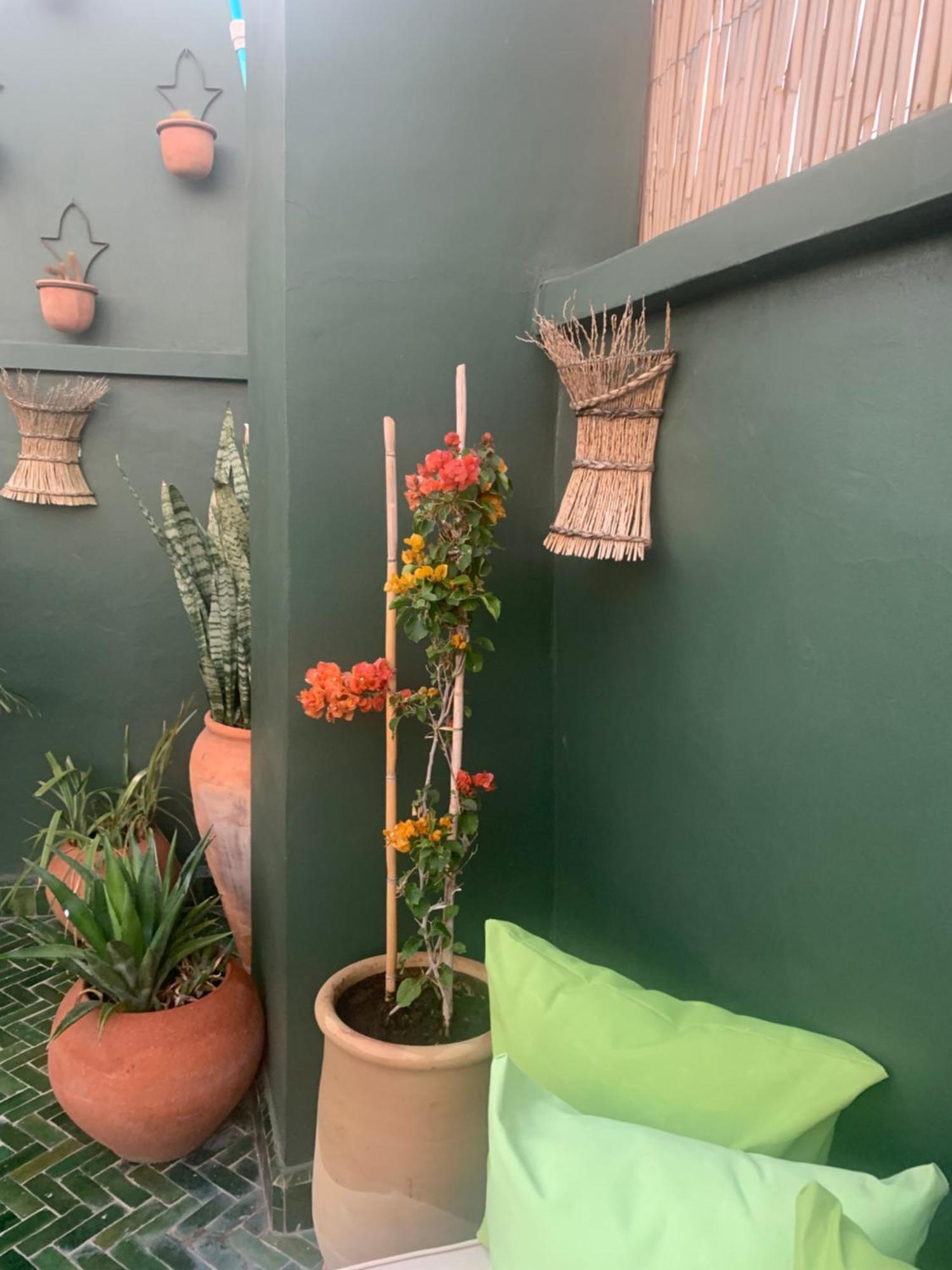 Riad Olive Privatif 4 Personnes Hotel Marrakesh Exterior foto